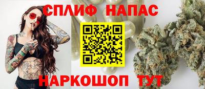 прущие грибы Вязьма
